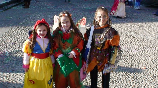 2008 carnevale (29)